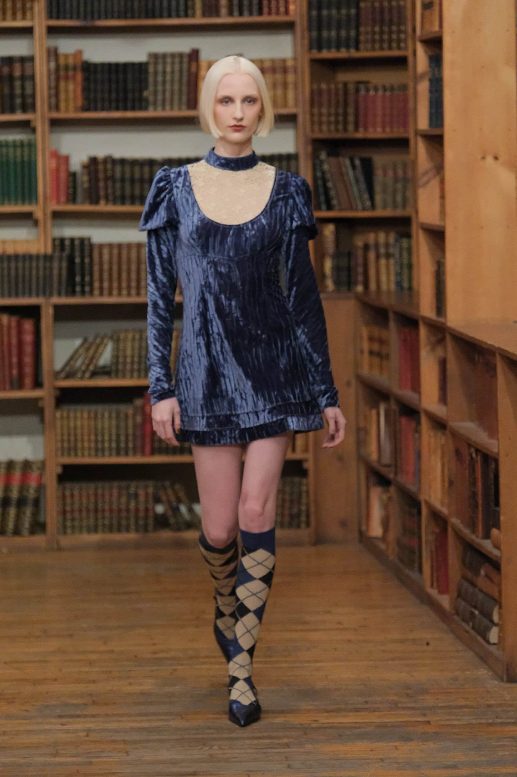 ANNA SUI Fall 2024 Show image