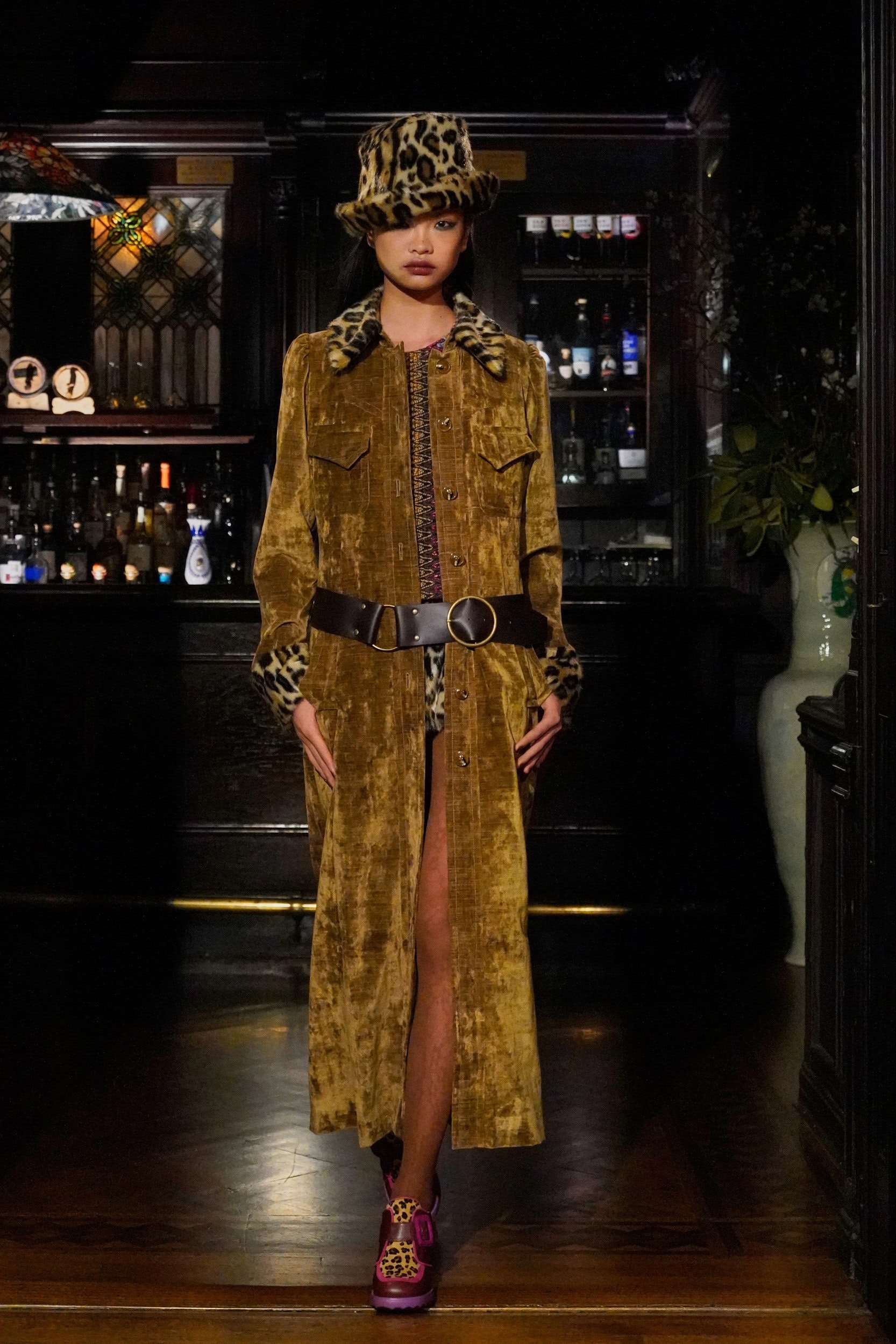 ANNA SUI Fall 2025 Show image