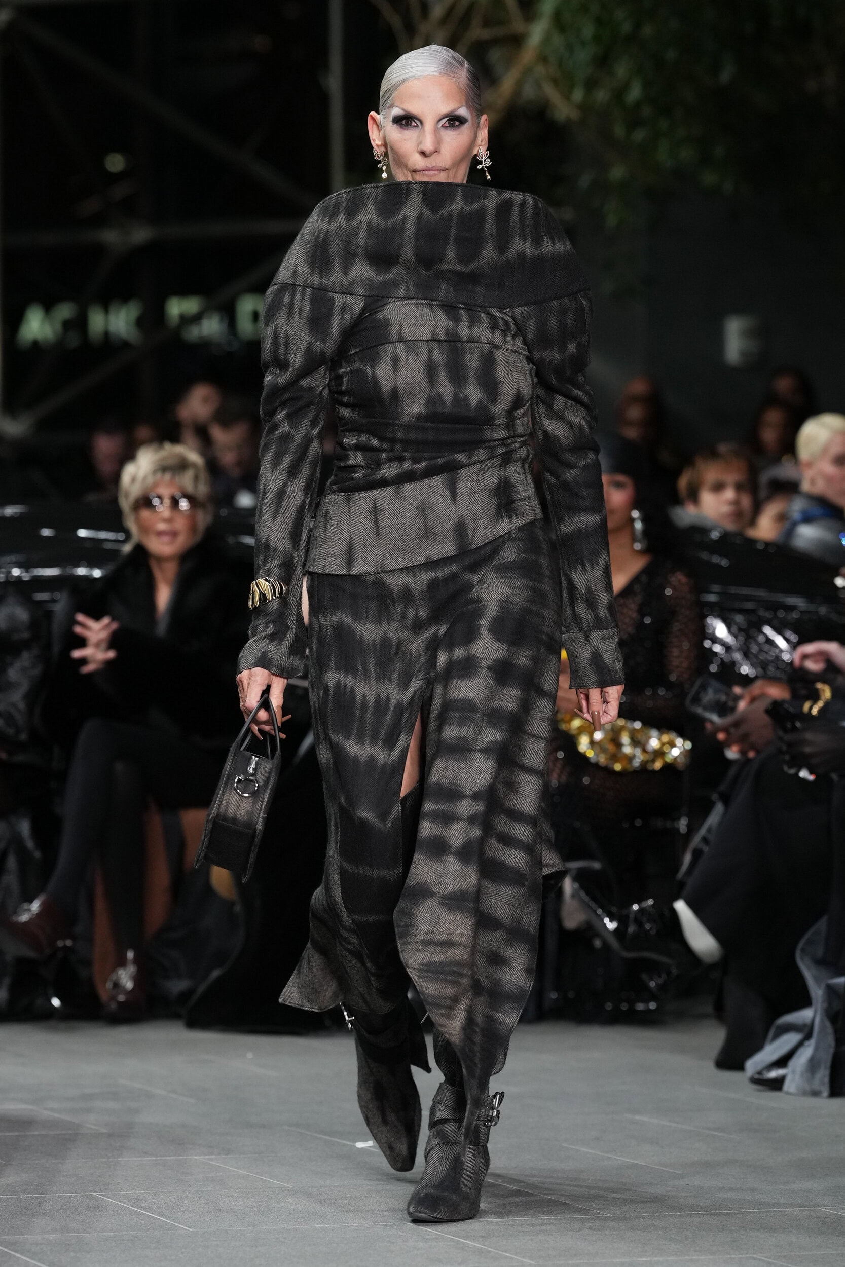 LUAR FALL 2025 SHOW image